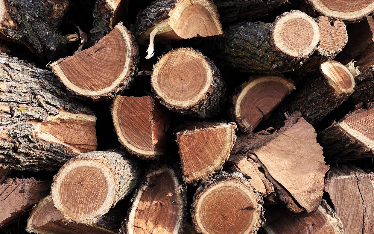 Stacked cut firewood logs with bark, showcasing natural wood grain and textures