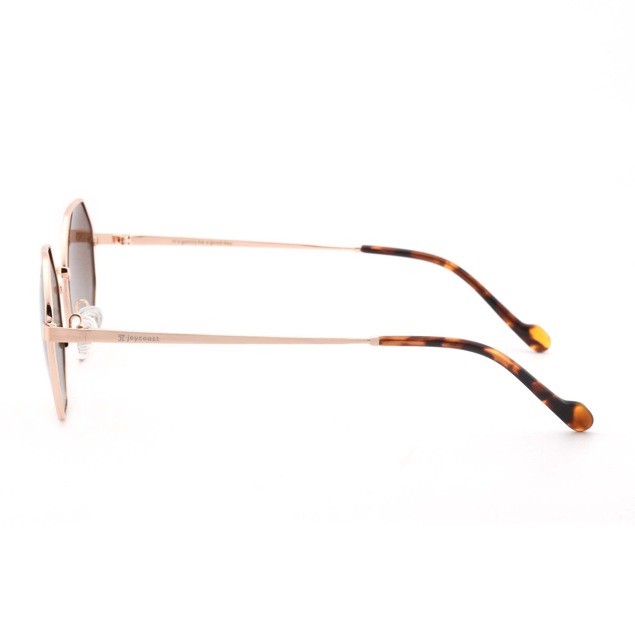 Joycoast Vesuvio red hexagon-frame sunglasses with brown gradient lenses and thin metal arms, viewed from the top down on a white background.