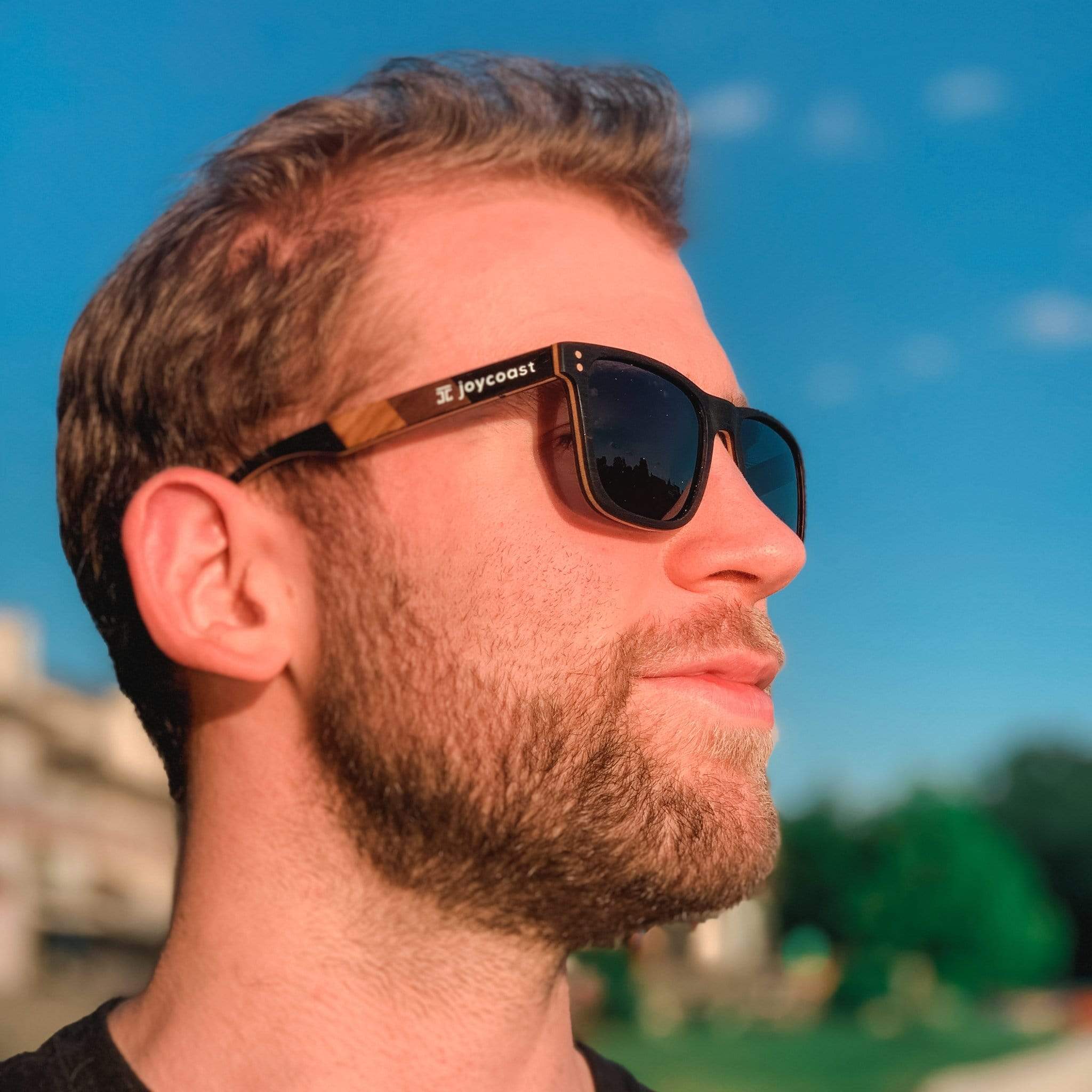 Sunglasses with dark lenses and zebrawood temple in side view