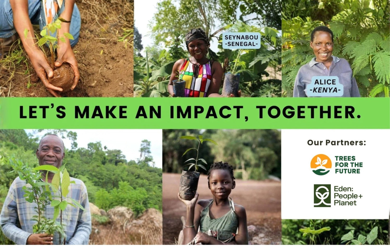 Growing a Greener Future: 10 Trees Planted for Every Joycoast Product