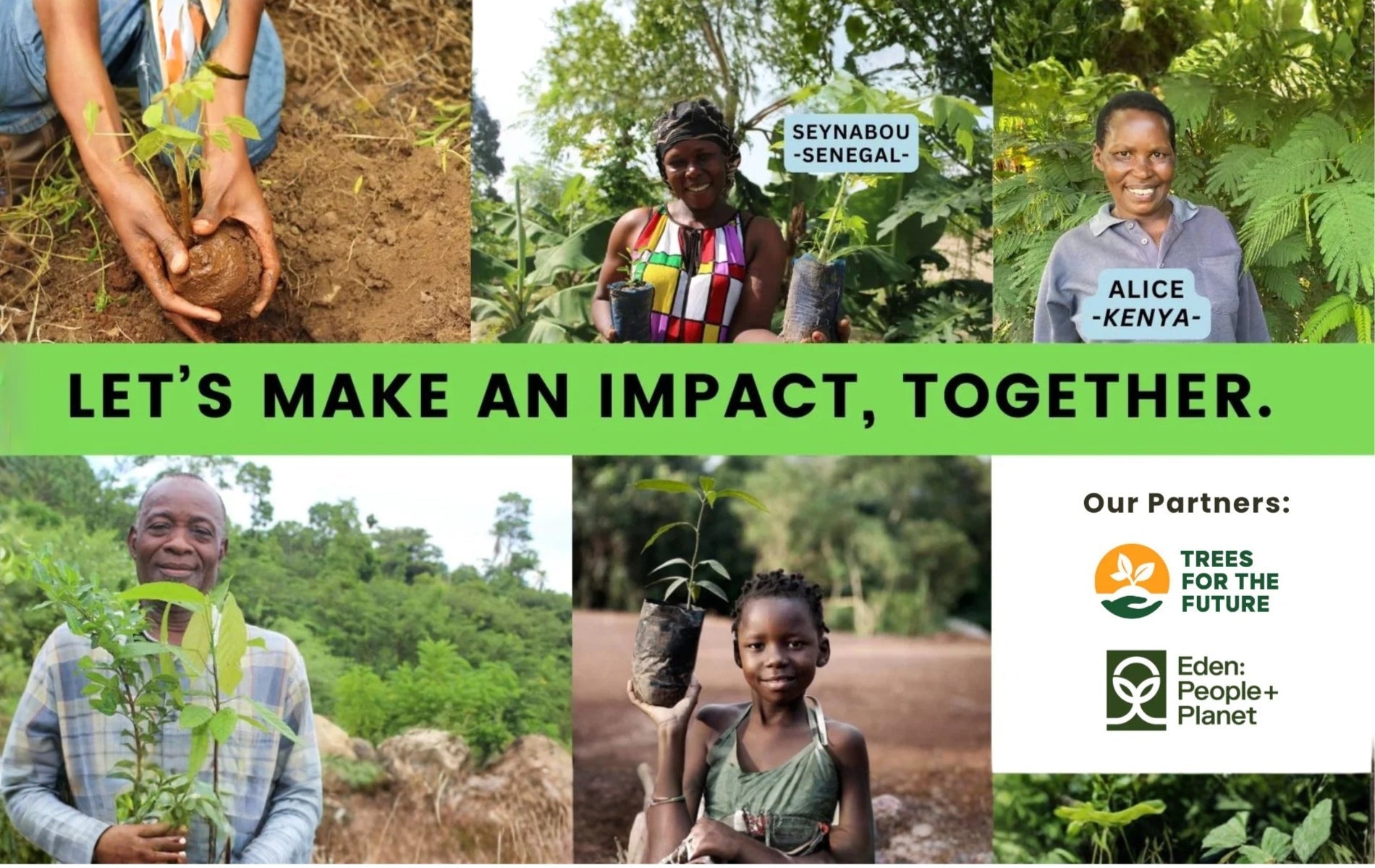 Growing a Greener Future: 10 Trees Planted for Every Joycoast Product