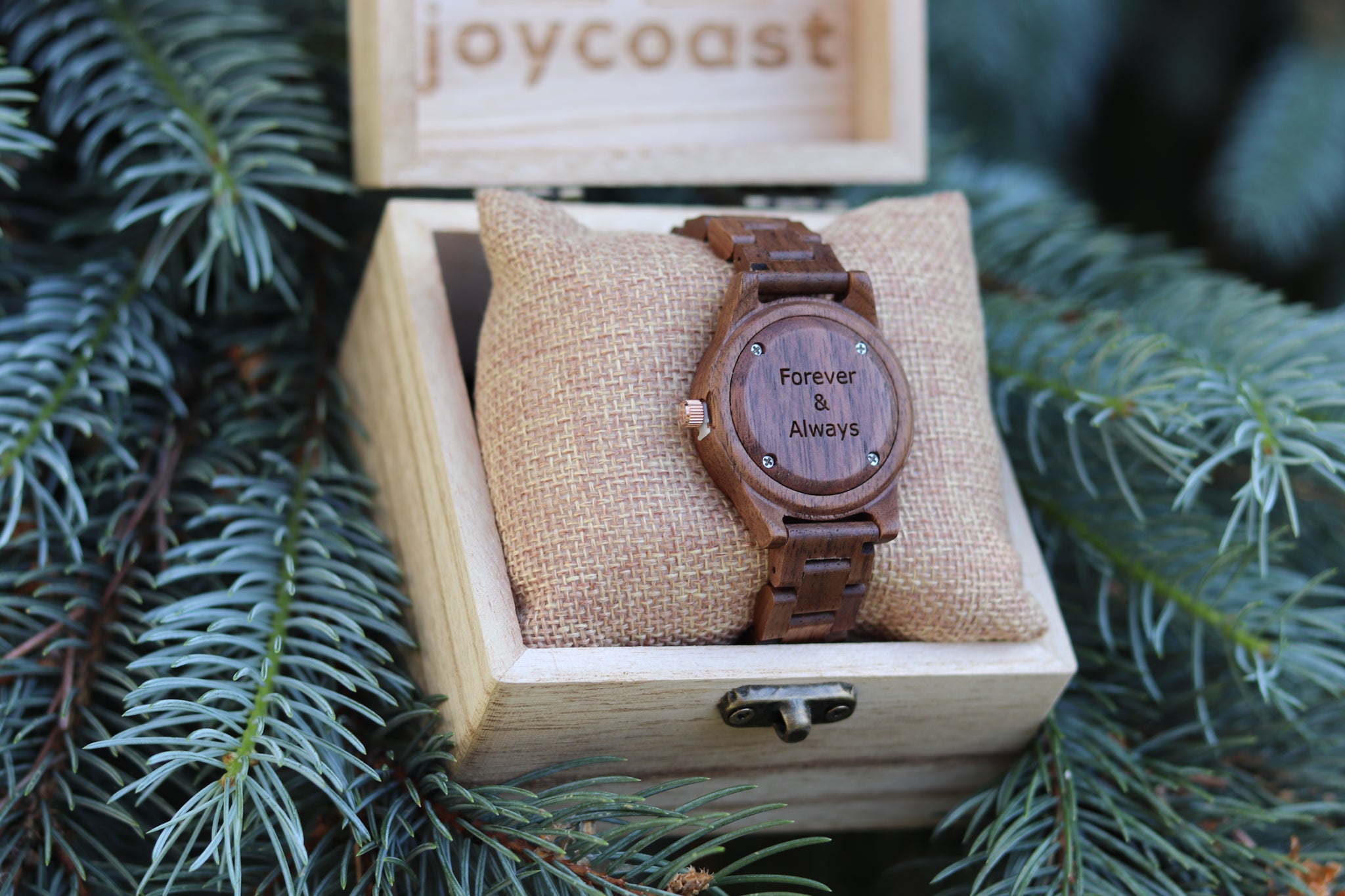 A Joycoast wooden watch displayed in a box, resting on a tree branch, showcasing its natural aesthetic and craftsmanship and personalized engraving.