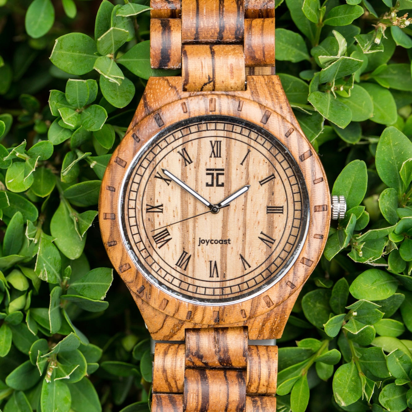 ルパンドフーウ Zebra Max | OG Wooden Watch Collection | Joycoast